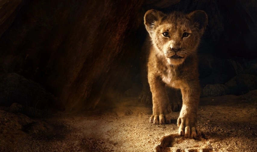 Le Roi Lion film